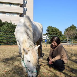 馬とふれあう時間