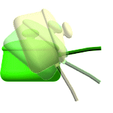  xȂ