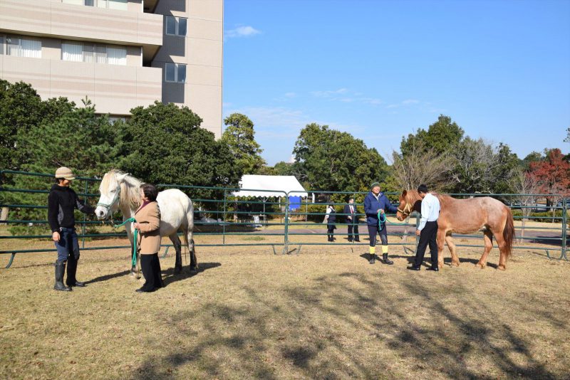 話しかけたり、散歩したり