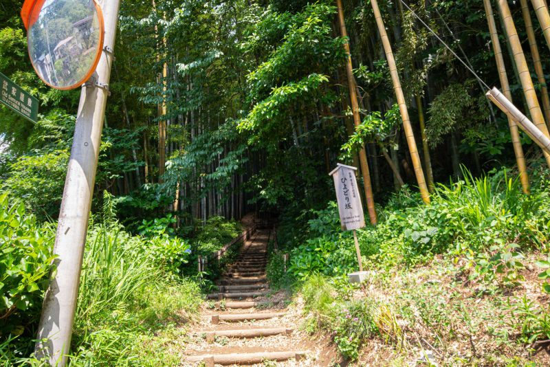 佐倉の竹林看板